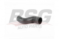BSG 60720017 Turbo Hortumu