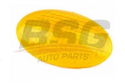 BSG 65810005 Çamurluk Sinyali