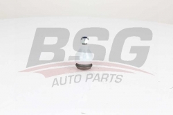 BSG 60310287 Rotil Alt