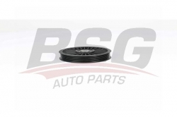 BSG 75615007 V Kayış Gergi Rulmanı
