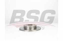 BSG 30210045 Fren Diski Arka