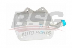 BSG 90506009 Yağ Soğutucusu