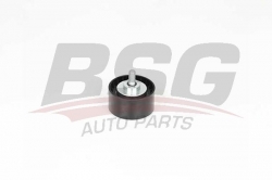 BSG 15615013 V Kayış Gergi Rulmanı