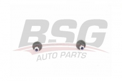 BSG 40310112 Viraj Askı Rotu Arka