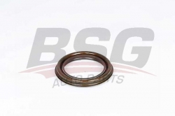 BSG 30116131 Aks Keçesi Arka