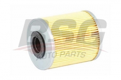 BSG 65130007 Yakıt Filtresi
