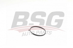 BSG 60116003 Gaz Kelebek Contası