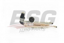 BSG 90836018 Egr Valfi