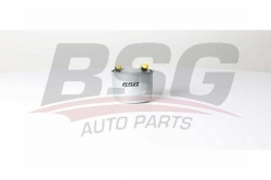 BSG 60130011 Yakıt Filtresi