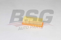 BSG 75135017 Hava Filtresi