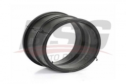 BSG 65725002 Gaz Kelebek Hortumu