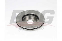 BSG 63210017 Fren Diski Ön