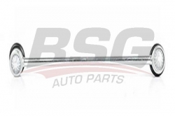 BSG 70310012 Viraj Askı Rotu Ön Sağ