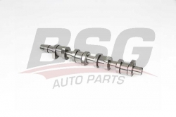 BSG 90108013 Eksantrik Mili