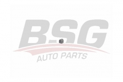 BSG 65700250 Viraj Demir Lastiği Ön