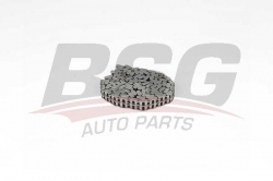 BSG 60105004 Eksantrik Zinciri