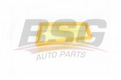 BSG 75135003 Hava Filtresi