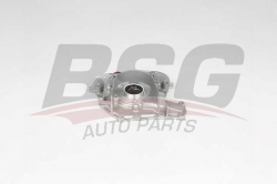 BSG 65101007 Yağ Pompası