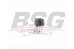 BSG 70235001 Vakum Pompası
