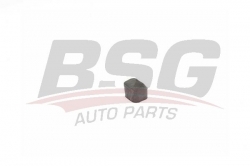 BSG 15700028 Radyatör Alt Takozu