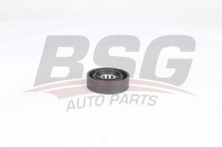 BSG 25615002 V Kayış Gergi Rulmanı