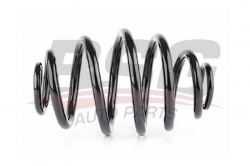 BSG 65305011 Helezon Yayı Arka
