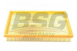 BSG 65135001 Hava Filtresi