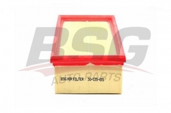 BSG 30135015 Hava Filtresi