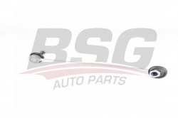 BSG 16310002 Viraj Askı Rotu Ön Sağ