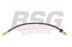 BSG 70730007 Fren Hortumu Ön