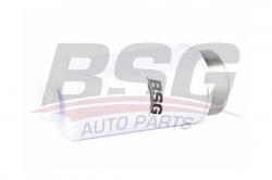 BSG 30130011 Yakıt Filtresi