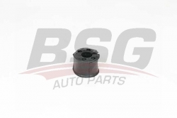 BSG 25700076 Viraj Demir Lastiği Ön
