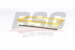 BSG 70135015 Hava Filtresi