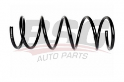 BSG 30305017 Helezon Yayı Ön