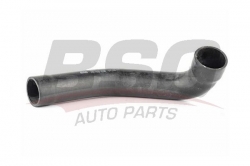 BSG 60720038 Turbo Hortumu
