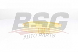 BSG 75135012 Hava Filtresi