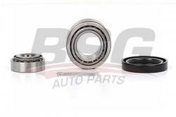 BSG 30600002 Porya Rulmanı Ön