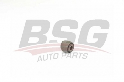BSG 30700459 Arka Denge Kol Burcu