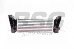 BSG 30535004 Turbo Radyatörü