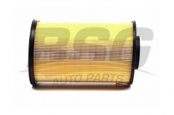 BSG 30135014 Hava Filtresi