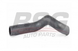 BSG 40720052 Radyatör Hortumu Alt