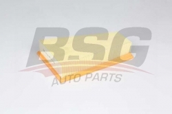 BSG 60135028 Hava Filtresi