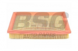 BSG 65135005 Hava Filtresi
