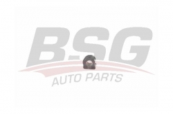 BSG 90700167 Viraj Demir Lastiği Ön
