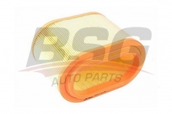 BSG 40135001 Hava Filtresi