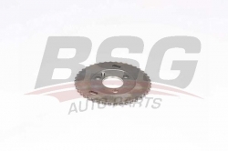BSG 60109056 Eksantrik Dişlisi