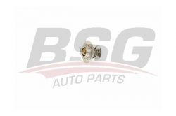 BSG 90125003 Termostat
