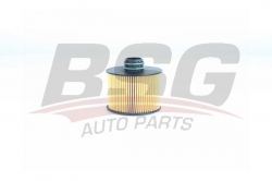 BSG 25140004 Yağ Filtresi