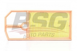 BSG 90135008 Hava Filtresi