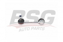 BSG 40310118 Viraj Askı Rotu Arka